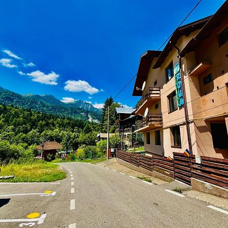 Pensiunea Roua Sinaia Extérieur photo