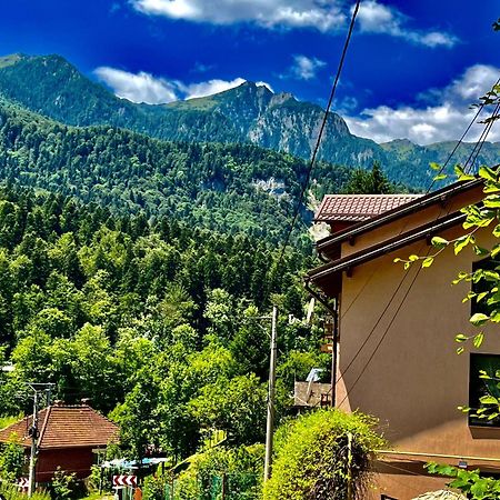 Pensiunea Roua Sinaia Extérieur photo