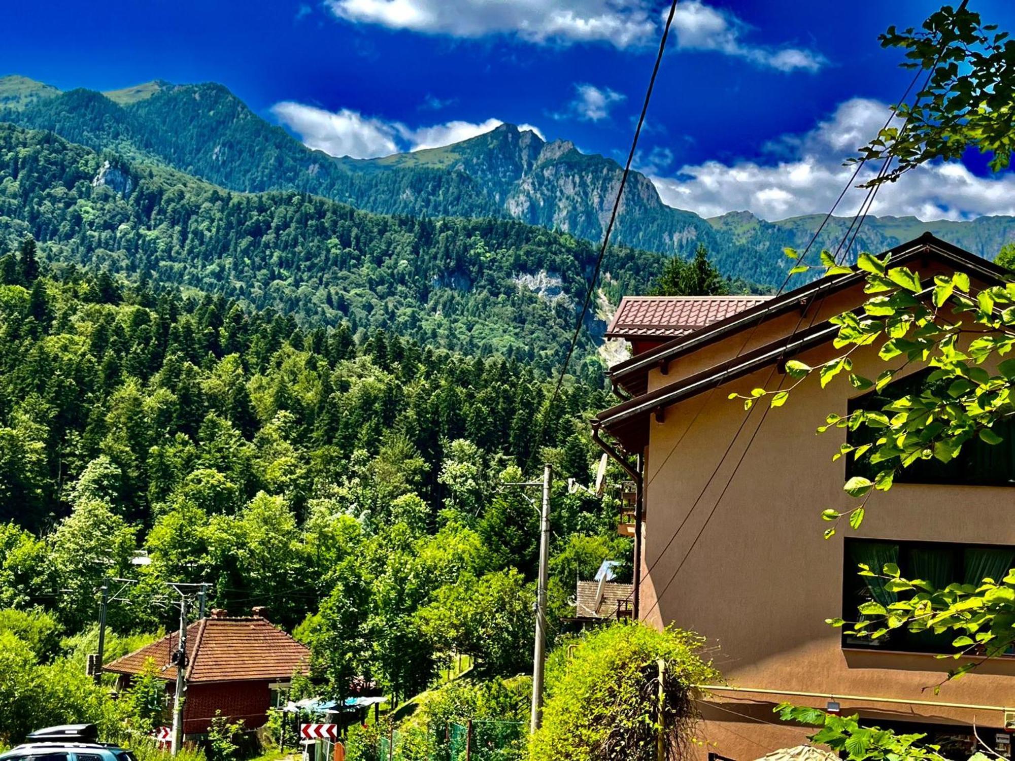 Pensiunea Roua Sinaia Extérieur photo